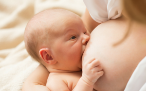 The Milk Practice Home page IMAGE 1